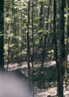 vampirediariesworld-dot-nl_Legacies2x03YouRemindMeofSomeoneIUsedtoKnow01675.jpg