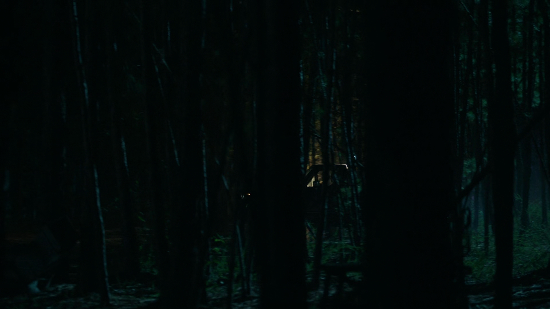 vampirediariesworld-dot-nl_Legacies2x03YouRemindMeofSomeoneIUsedtoKnow00003.jpg