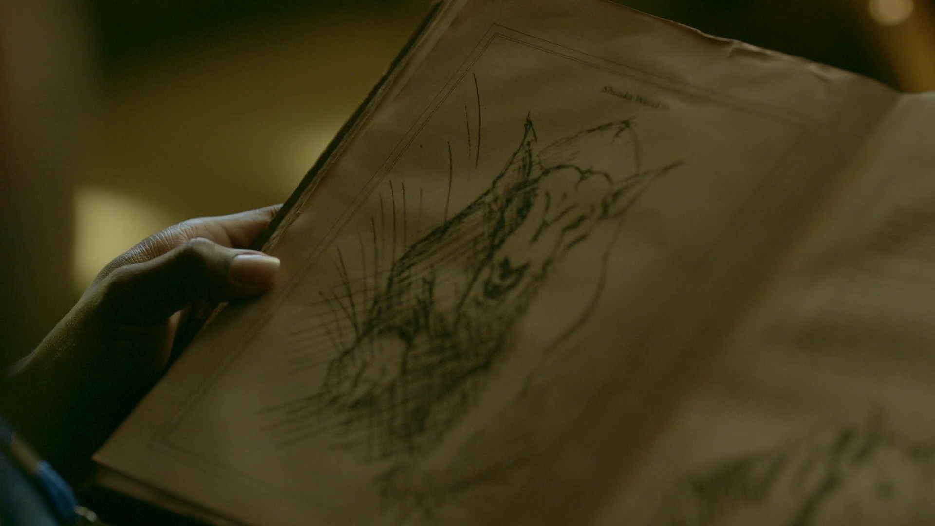 vampirediariesworld-dot-nl_Legacies2x03YouRemindMeofSomeoneIUsedtoKnow00673.jpg vampirediariesworld-dot-nl_Legacies2x03YouRemindMeofSomeoneIUsedtoKnow00673.jpg