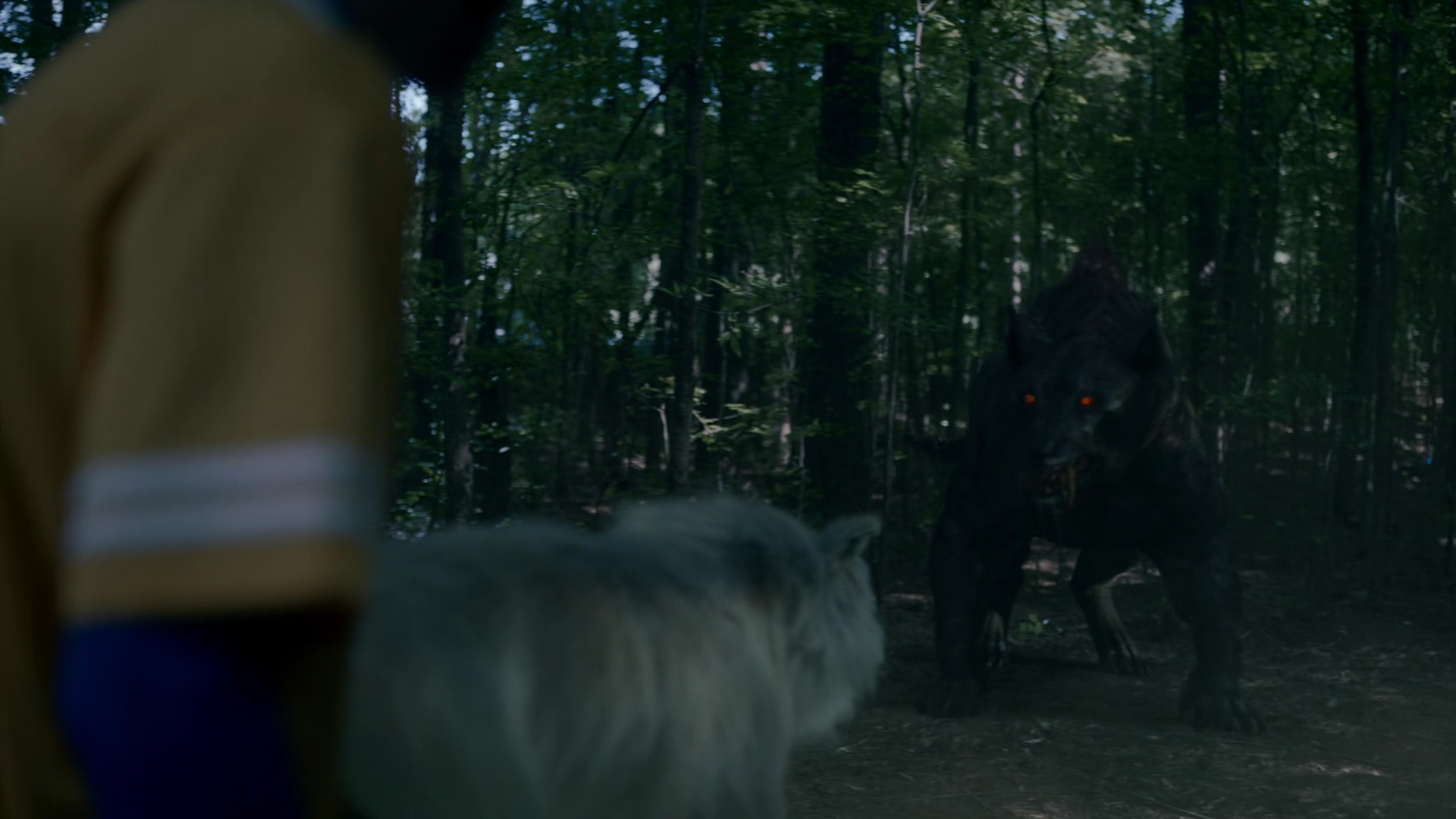 vampirediariesworld-dot-nl_Legacies2x03YouRemindMeofSomeoneIUsedtoKnow01465.jpg vampirediariesworld-dot-nl_Legacies2x03YouRemindMeofSomeoneIUsedtoKnow01465.jpg