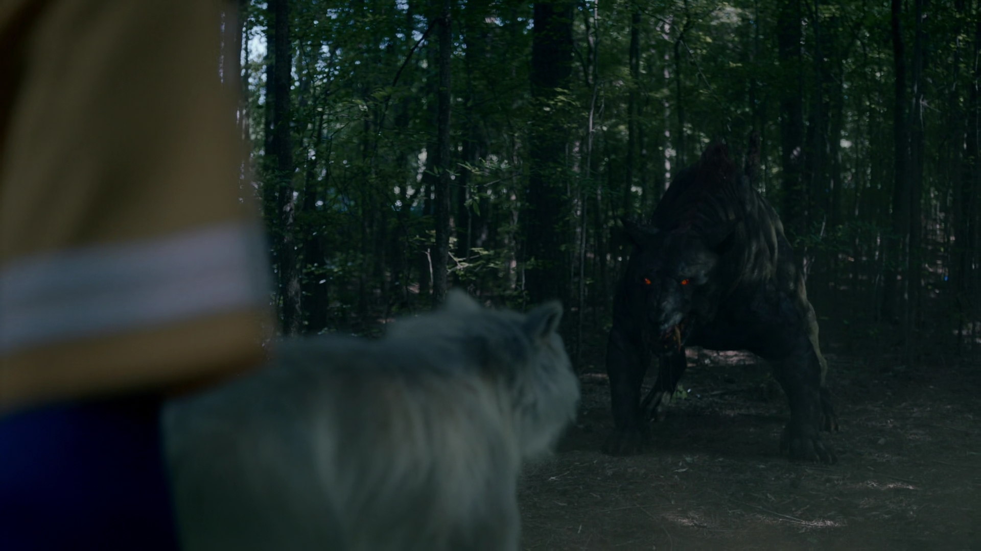 vampirediariesworld-dot-nl_Legacies2x03YouRemindMeofSomeoneIUsedtoKnow01466.jpg vampirediariesworld-dot-nl_Legacies2x03YouRemindMeofSomeoneIUsedtoKnow01466.jpg