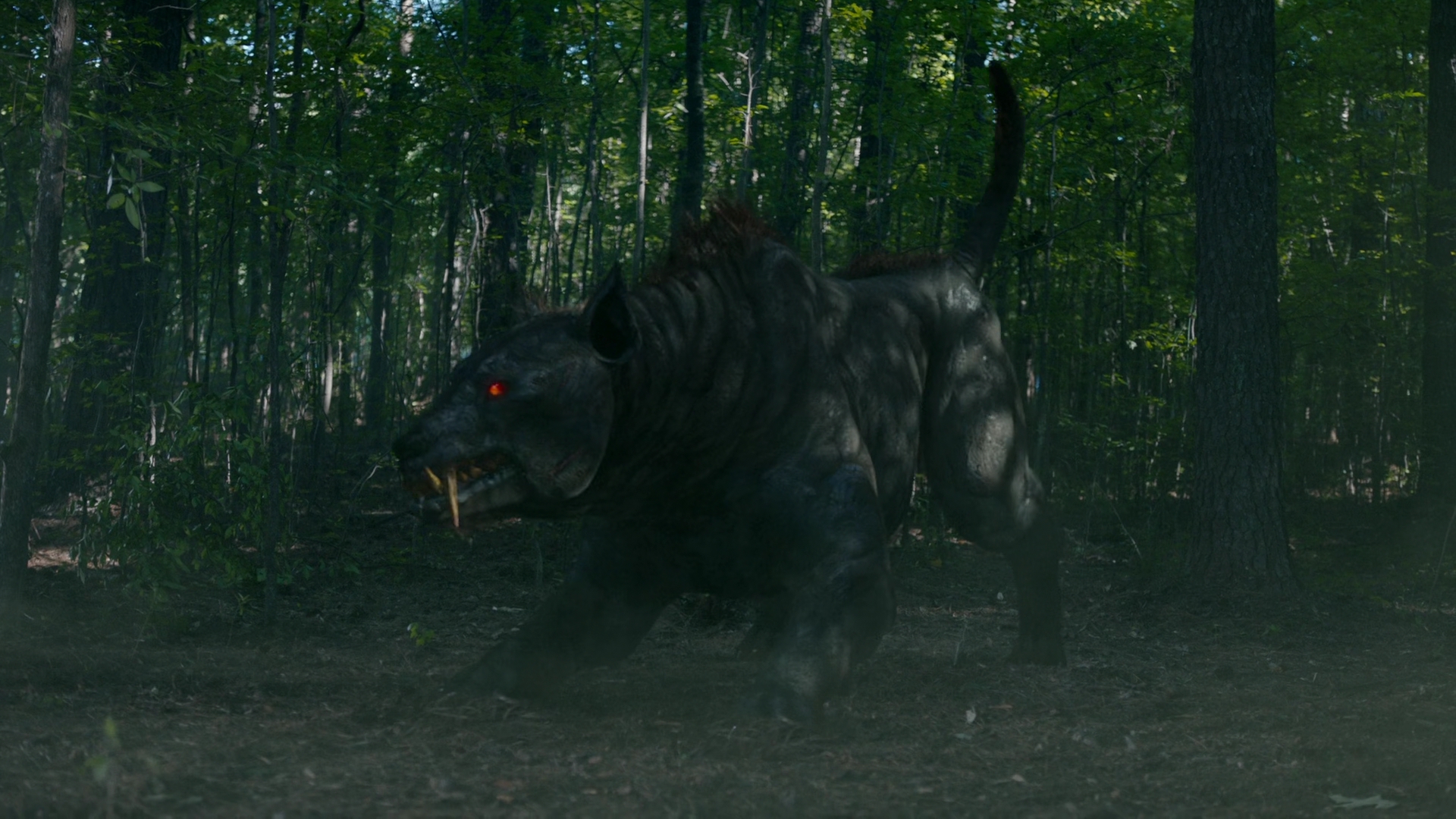 vampirediariesworld-dot-nl_Legacies2x03YouRemindMeofSomeoneIUsedtoKnow01471.jpg vampirediariesworld-dot-nl_Legacies2x03YouRemindMeofSomeoneIUsedtoKnow01471.jpg