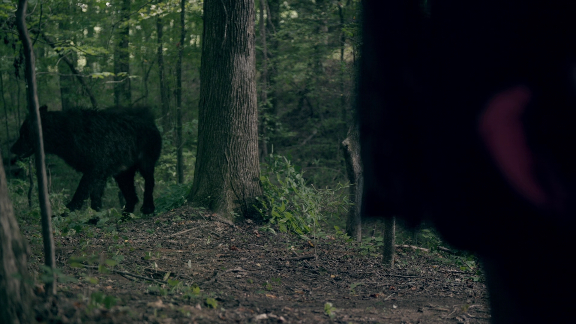 vampirediariesworld-dot-nl_Legacies2x03YouRemindMeofSomeoneIUsedtoKnow01687.jpg