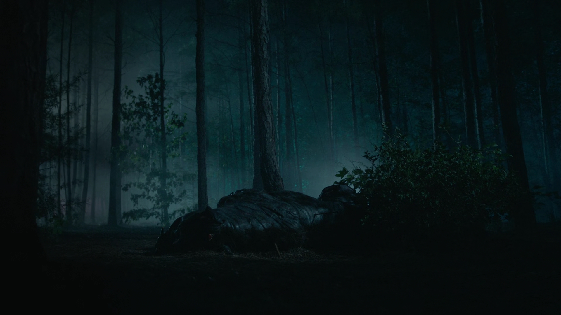 vampirediariesworld-dot-nl_Legacies2x03YouRemindMeofSomeoneIUsedtoKnow02340.jpg