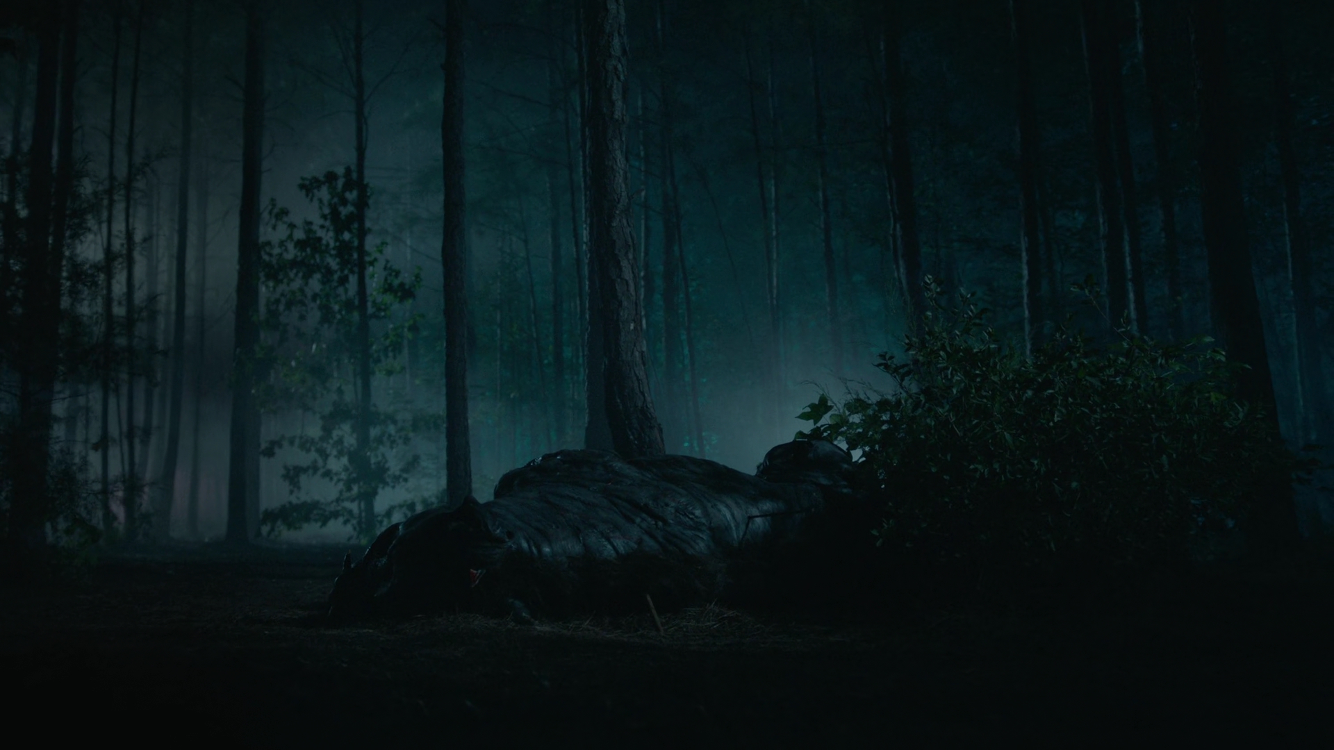 vampirediariesworld-dot-nl_Legacies2x03YouRemindMeofSomeoneIUsedtoKnow02341.jpg vampirediariesworld-dot-nl_Legacies2x03YouRemindMeofSomeoneIUsedtoKnow02341.jpg