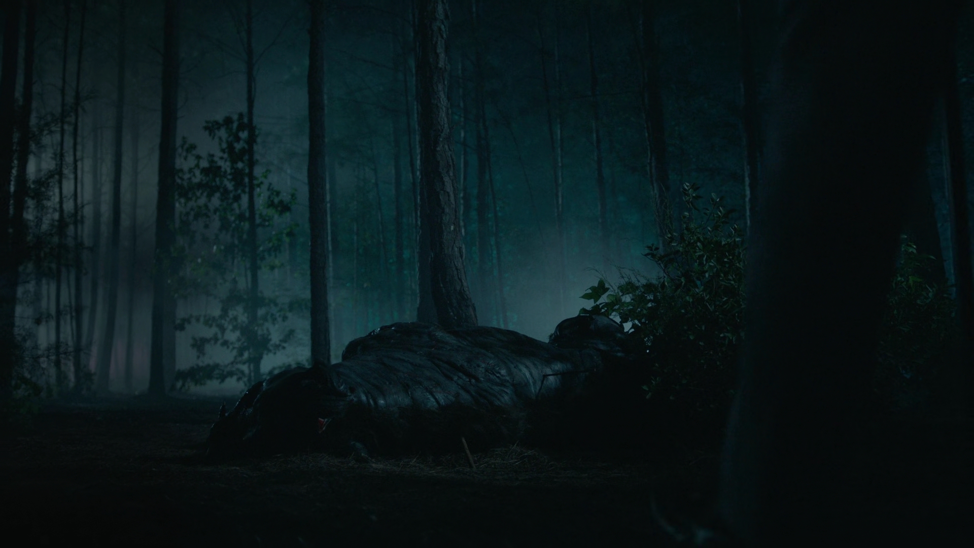 vampirediariesworld-dot-nl_Legacies2x03YouRemindMeofSomeoneIUsedtoKnow02342.jpg vampirediariesworld-dot-nl_Legacies2x03YouRemindMeofSomeoneIUsedtoKnow02342.jpg