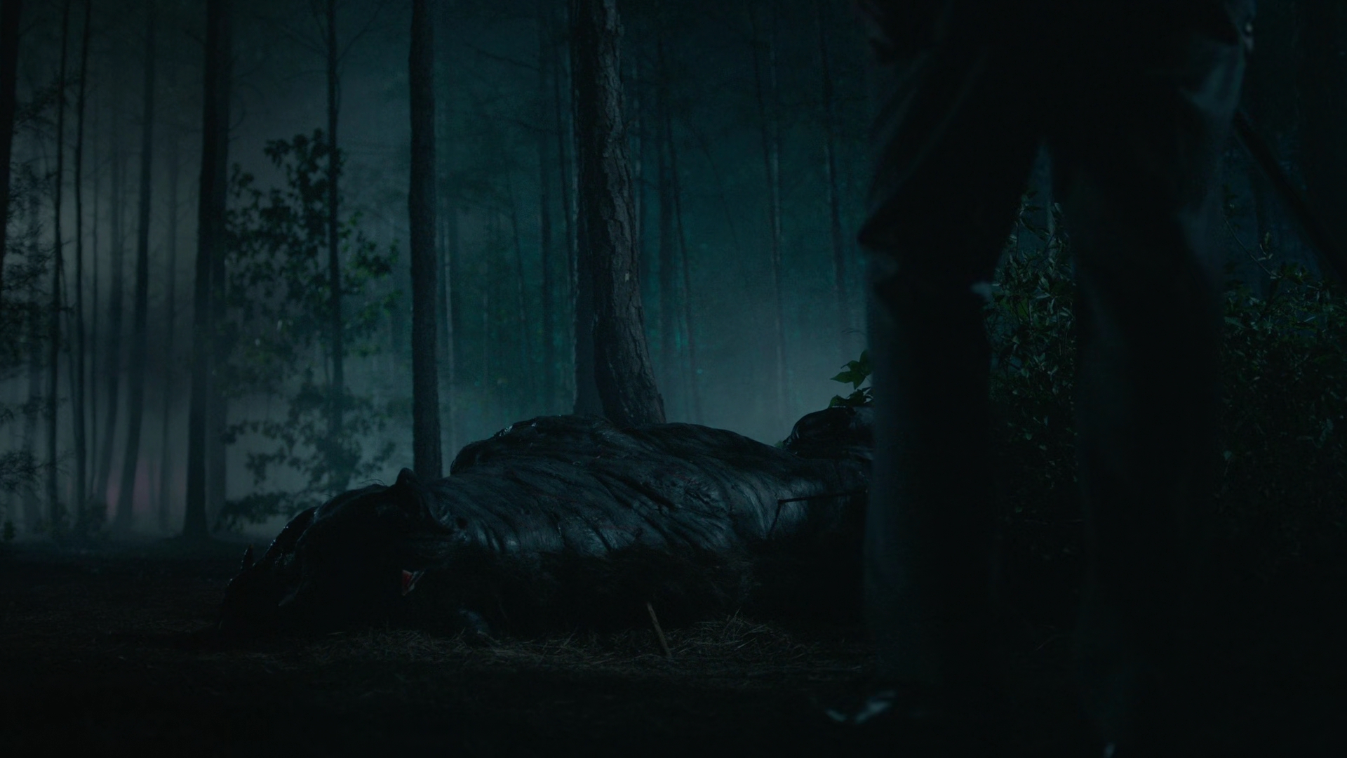 vampirediariesworld-dot-nl_Legacies2x03YouRemindMeofSomeoneIUsedtoKnow02344.jpg