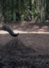 vampirediariesworld-dot-nl_Legacies2x05ScrewEndgame01684.jpg