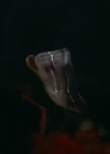 VampireDiariesWorld-dot-nl_Legacies2x06ThatsNothingIHadToRemember2404.jpg