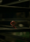 Filename=VampireDiariesWorld-dot-nl_Legacies2x06ThatsNothingIHadToRemember2431.jpg
Filesize=873KiB
Dimensions=1920x1080
Date added=Nov 29, 2019 VampireDiariesWorld-dot-nl_Legacies2x06ThatsNothingIHadToRemember2431.jpg