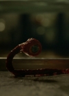 Filename=VampireDiariesWorld-dot-nl_Legacies2x06ThatsNothingIHadToRemember2434.jpg
Filesize=952KiB
Dimensions=1920x1080
Date added=Nov 29, 2019 VampireDiariesWorld-dot-nl_Legacies2x06ThatsNothingIHadToRemember2434.jpg