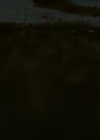 Filename=VampireDiariesWorld-dot-nl_Legacies2x08ThisChristmasIsSuprisinglyViolent2422.jpg
Filesize=736KiB
Dimensions=1920x1080
Date added=Dec 19, 2019 VampireDiariesWorld-dot-nl_Legacies2x08ThisChristmasIsSuprisinglyViolent2422.jpg
