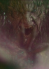 VampireDiariesWorld-dot-nl_Legacies2x10ThisisWhyWeDontEntrustPlanstoMuppetBabies1649.jpg