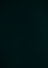 VampireDiariesWorld-dot-nl_Legacies2x10ThisisWhyWeDontEntrustPlanstoMuppetBabies2203.jpg