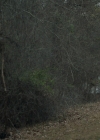 VampireDiariesWorld-dot-nl-Legacies2x13YouCantSaveThemAll0362.jpg