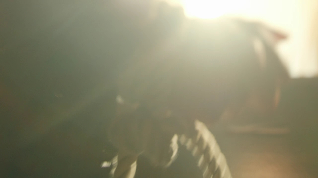 VampireDiariesWorld-dot-nl-Legacies2x14TheresaPlaceWheretheLostThingsGo0133.jpg