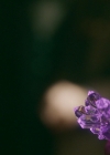 VampireDiariesWorld-dot-nl-Legacies2x15LifeWasSoMuchEasierWhenIOnlyCaredAboutMyself0208.jpg
