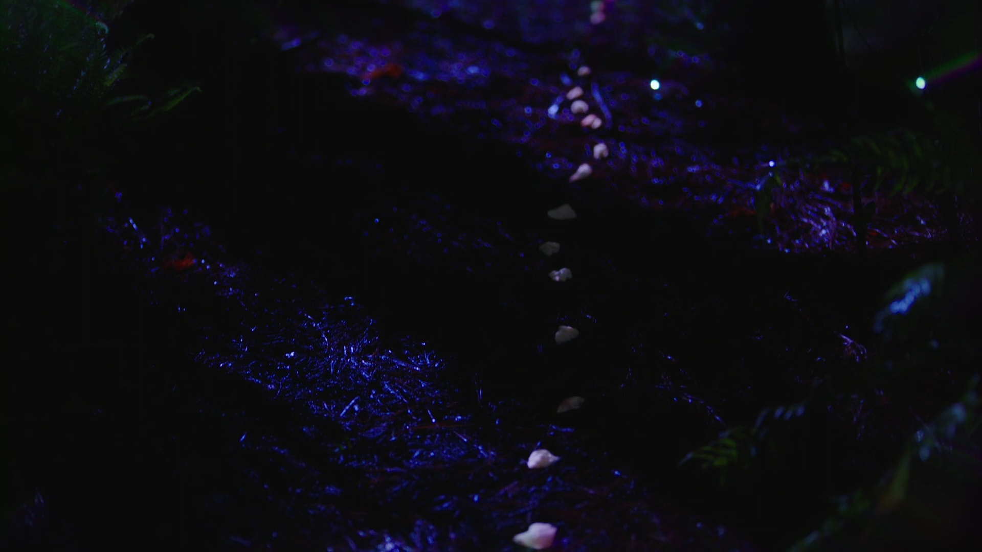 VampireDiariesWorld-dot-nl-Legacies2x16FacingDarknessIsKindaMyThing0046.jpg