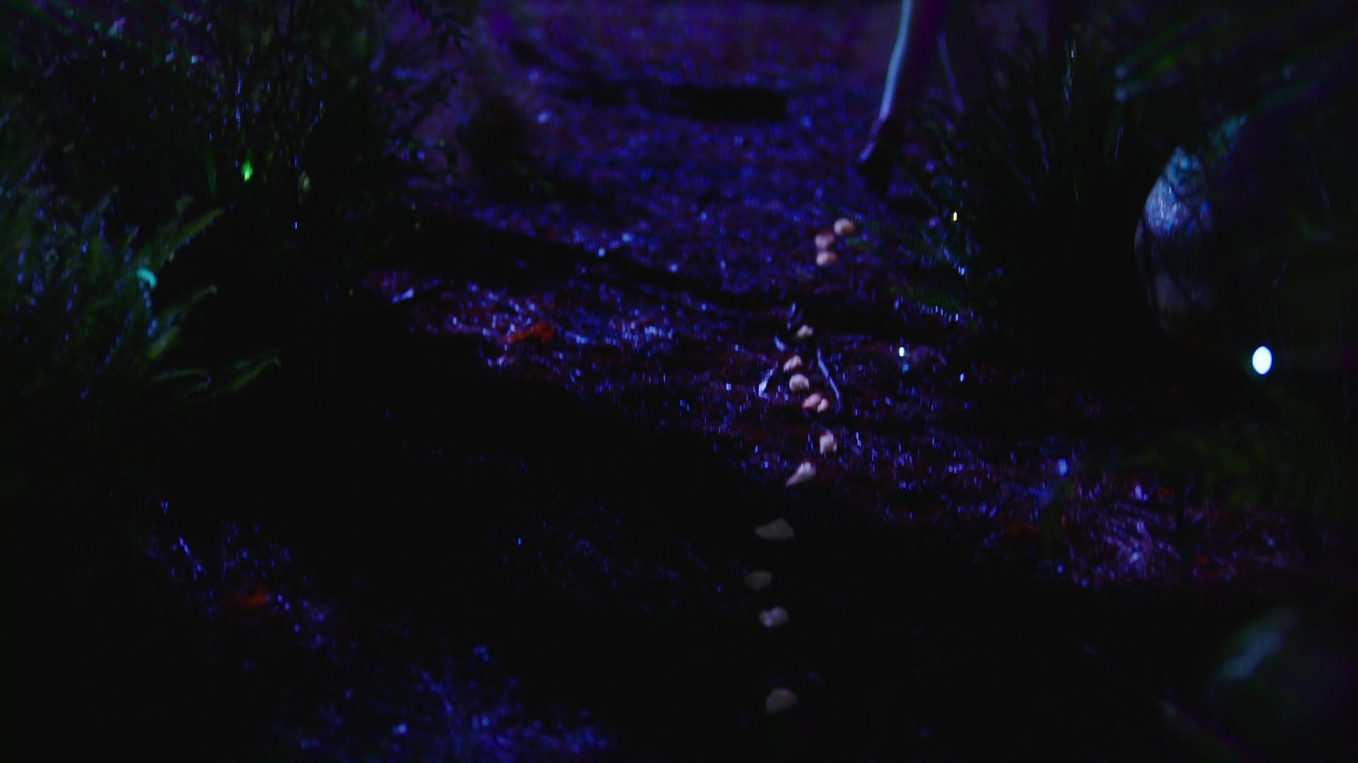 VampireDiariesWorld-dot-nl-Legacies2x16FacingDarknessIsKindaMyThing0047.jpg