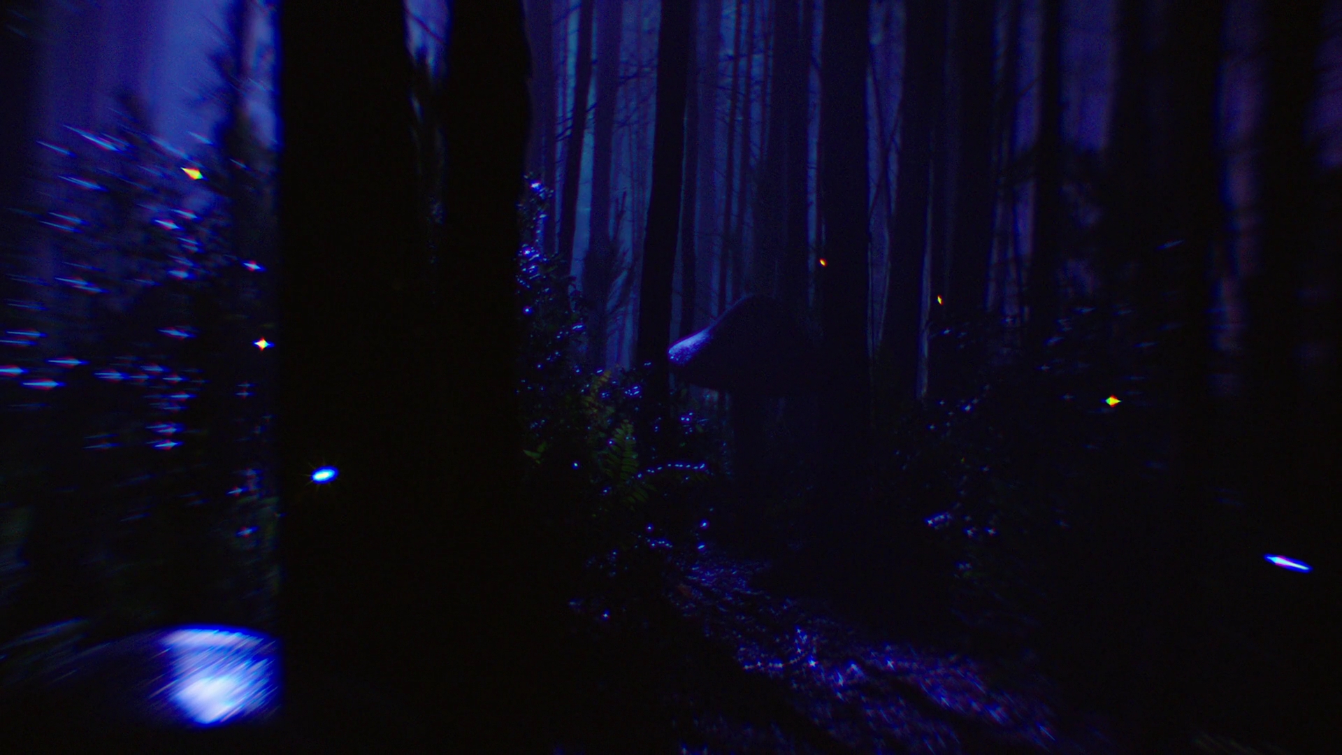 VampireDiariesWorld-dot-nl-Legacies2x16FacingDarknessIsKindaMyThing0058.jpg VampireDiariesWorld-dot-nl-Legacies2x16FacingDarknessIsKindaMyThing0058.jpg