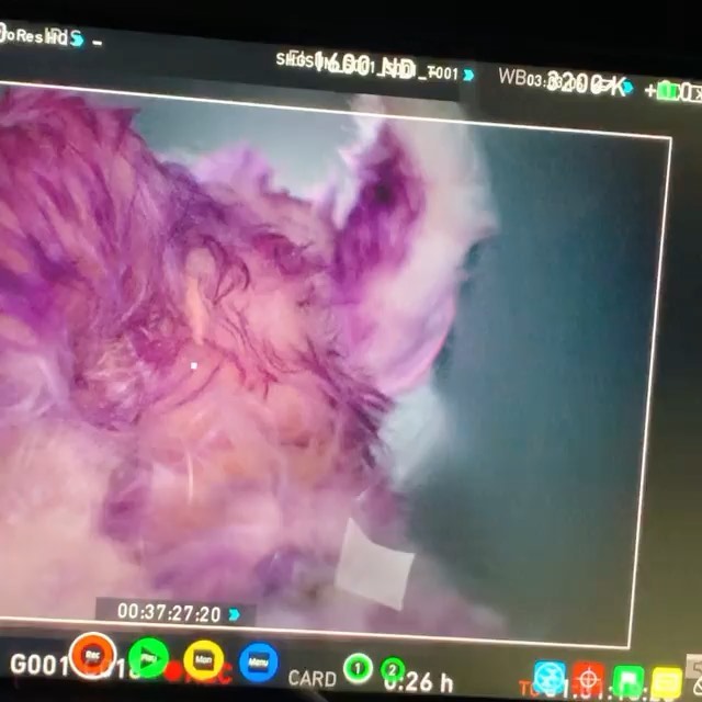 3x09-022.jpg