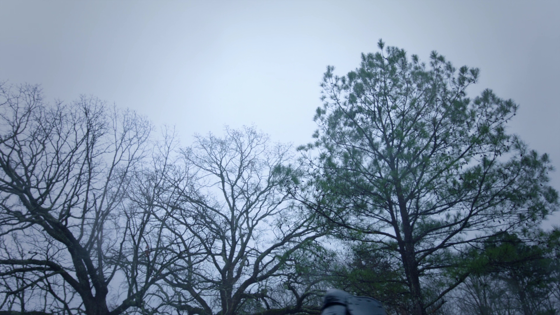 VampireDiariesWorld-dot-nl_Legacies3x02GoodbyesSureDoSuck0035.jpg