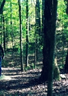 VampireDiariesWorld-dot-nl_Legacies3x04HoldOnTight1164.jpg