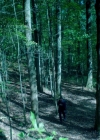 VampireDiariesWorld-dot-nl_Legacies3x04HoldOnTight1758.jpg