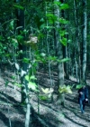 VampireDiariesWorld-dot-nl_Legacies3x04HoldOnTight1761.jpg