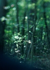 VampireDiariesWorld-dot-nl_Legacies3x04HoldOnTight1766.jpg