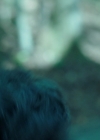 VampireDiariesWorld-dot-nl_Legacies3x04HoldOnTight1779.jpg