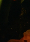 VampireDiariesWorld-dot-nl_Legacies3x04HoldOnTight1815.jpg
