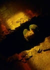 VampireDiariesWorld-dot-nl_Legacies3x04HoldOnTight1835.jpg