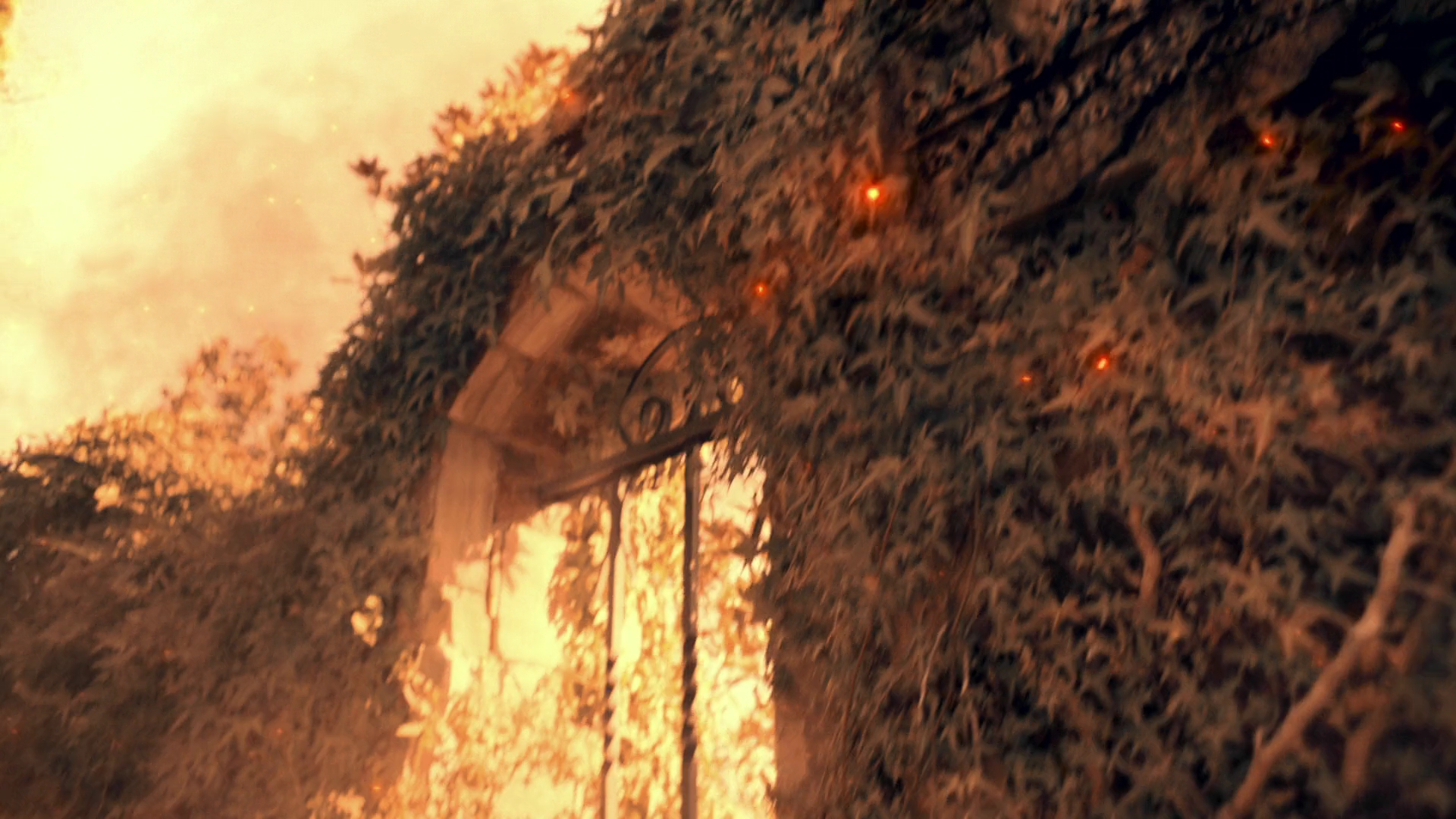 VampireDiariesWorld-dot-nl_Legacies3x06ToWhomItMayConcern2394.jpg VampireDiariesWorld-dot-nl_Legacies3x06ToWhomItMayConcern2394.jpg