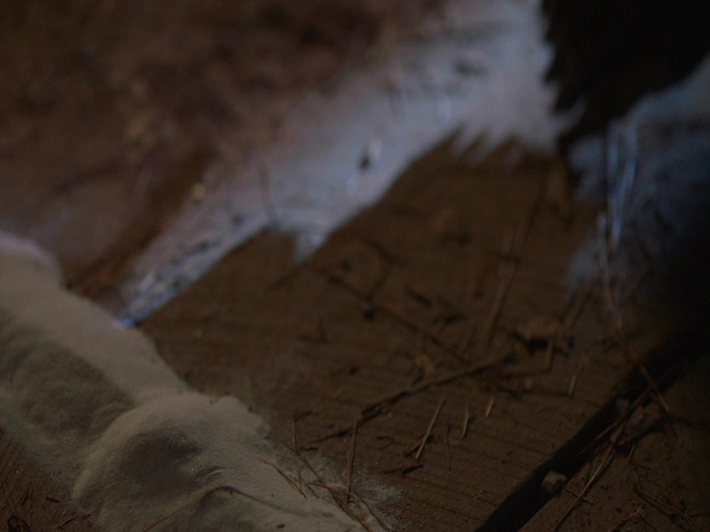 VampireDiariesWorld-dot-nl_Legacies3x08LongTimeNoSee_1369.jpg