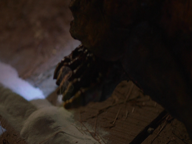 VampireDiariesWorld-dot-nl_Legacies3x08LongTimeNoSee_1371.jpg