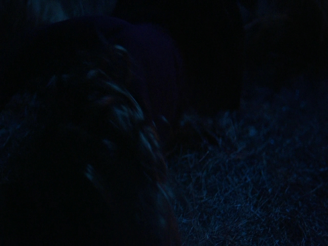 VampireDiariesWorld-dot-nl_Legacies3x08LongTimeNoSee_1964.jpg VampireDiariesWorld-dot-nl_Legacies3x08LongTimeNoSee_1964.jpg