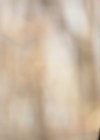 VampireDiariesWorld-dot-nl_Legacies3x08LongTimeNoSee_0405.jpg
