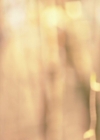 VampireDiariesWorld-dot-nl_Legacies3x08LongTimeNoSee_0442.jpg