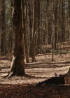 VampireDiariesWorld-dot-nl_Legacies3x10AllsWellThatEndsWell0509.jpg