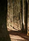 VampireDiariesWorld-dot-nl_Legacies3x10AllsWellThatEndsWell0514.jpg