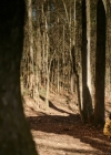 VampireDiariesWorld-dot-nl_Legacies3x10AllsWellThatEndsWell0515.jpg