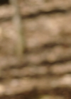 VampireDiariesWorld-dot-nl_Legacies3x10AllsWellThatEndsWell0530.jpg