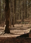 VampireDiariesWorld-dot-nl_Legacies3x10AllsWellThatEndsWell0544.jpg