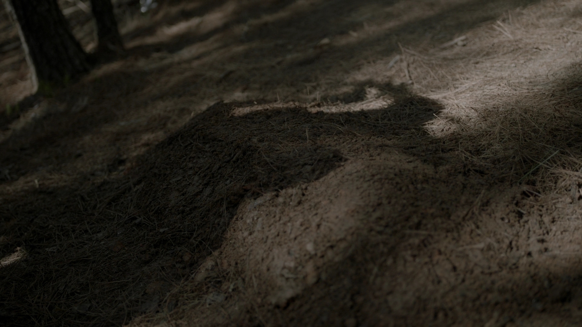 VampireDiariesWorld-dot-nl_Legacies3x14ThisFeelsaLittleCult-y1313.jpg