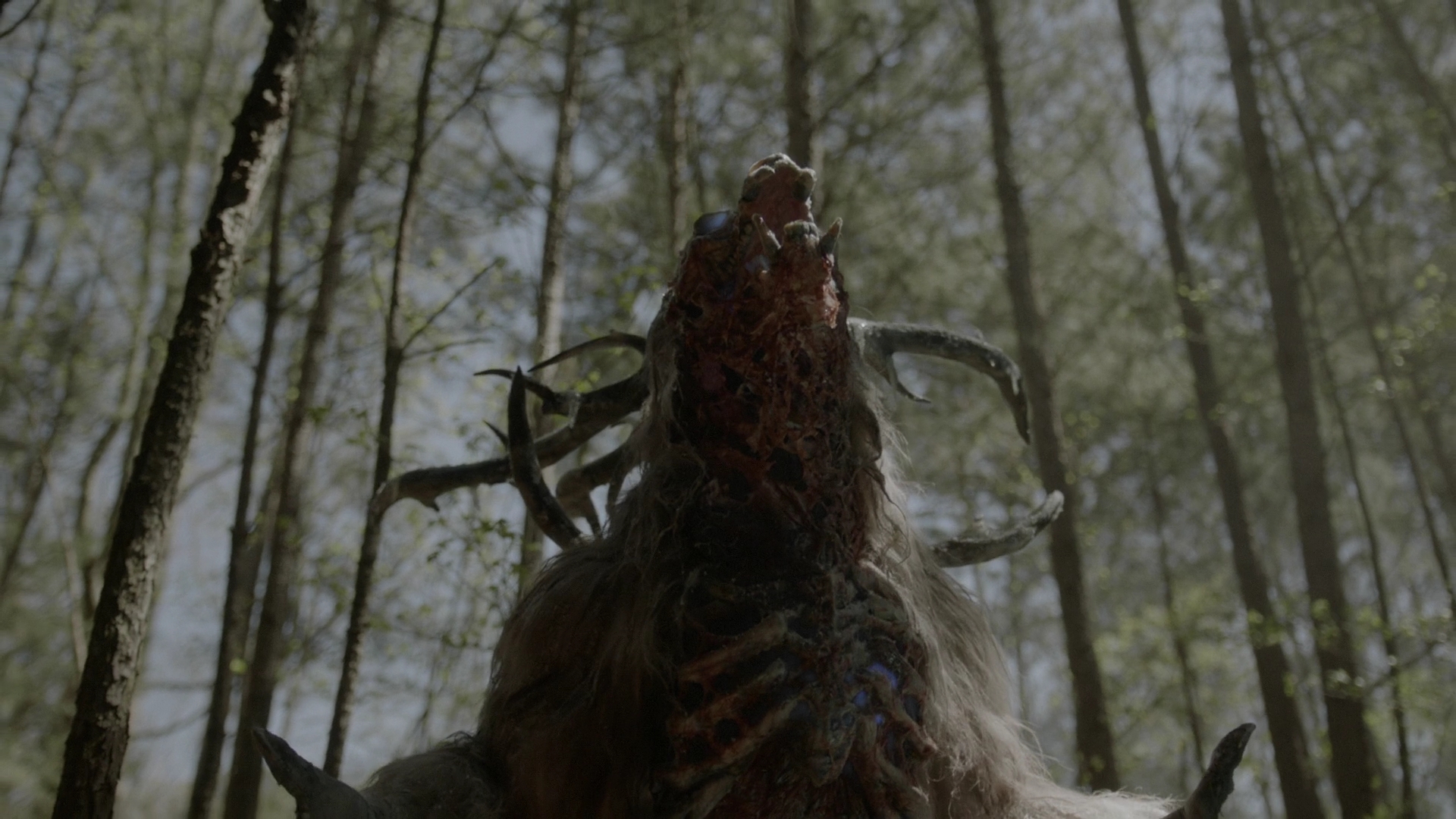 VampireDiariesWorld-dot-nl_Legacies3x14ThisFeelsaLittleCult-y1327.jpg