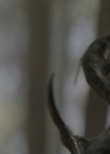 VampireDiariesWorld-dot-nl_Legacies3x14ThisFeelsaLittleCult-y1322.jpg