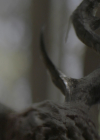 VampireDiariesWorld-dot-nl_Legacies3x14ThisFeelsaLittleCult-y1323.jpg