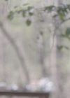 VampireDiariesWorld-dot-nl_Legacies3x14ThisFeelsaLittleCult-y1412.jpg