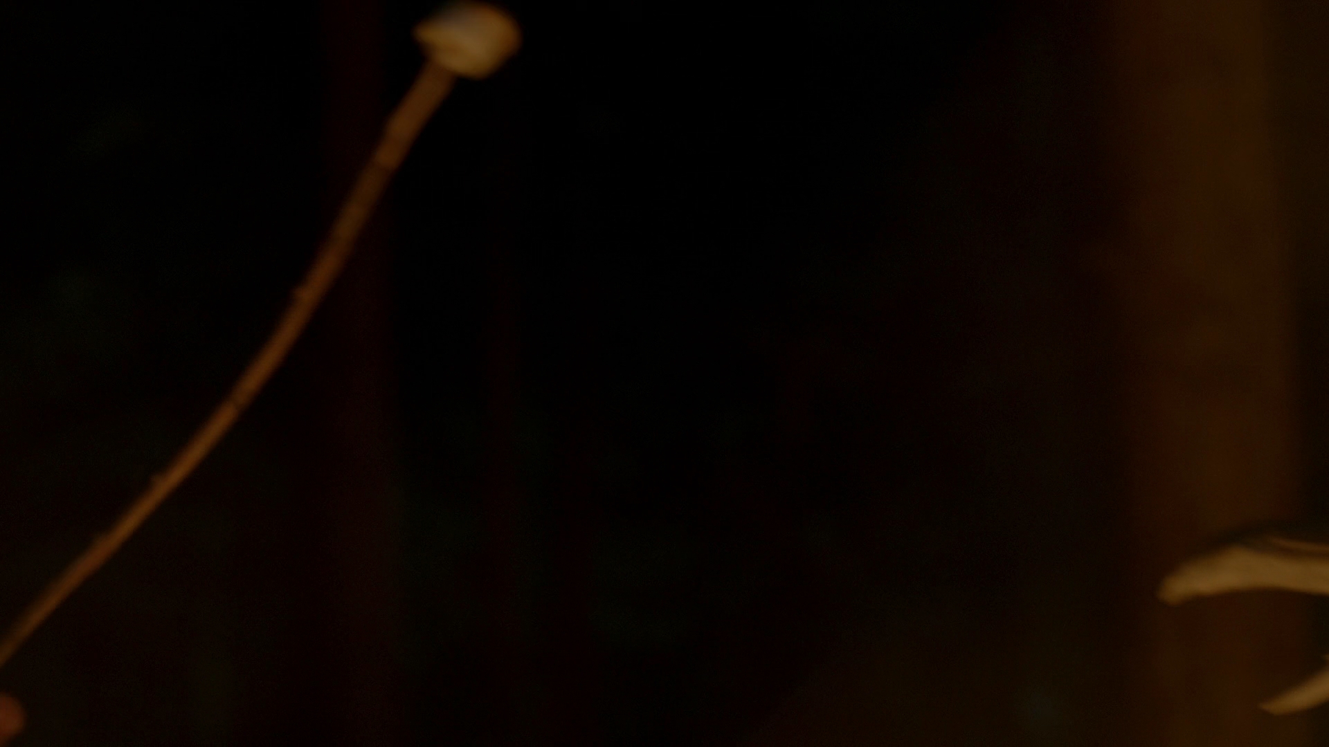 VampireDiariesWorld-dot-nl_Legacies3x15ANewHope2036.jpg